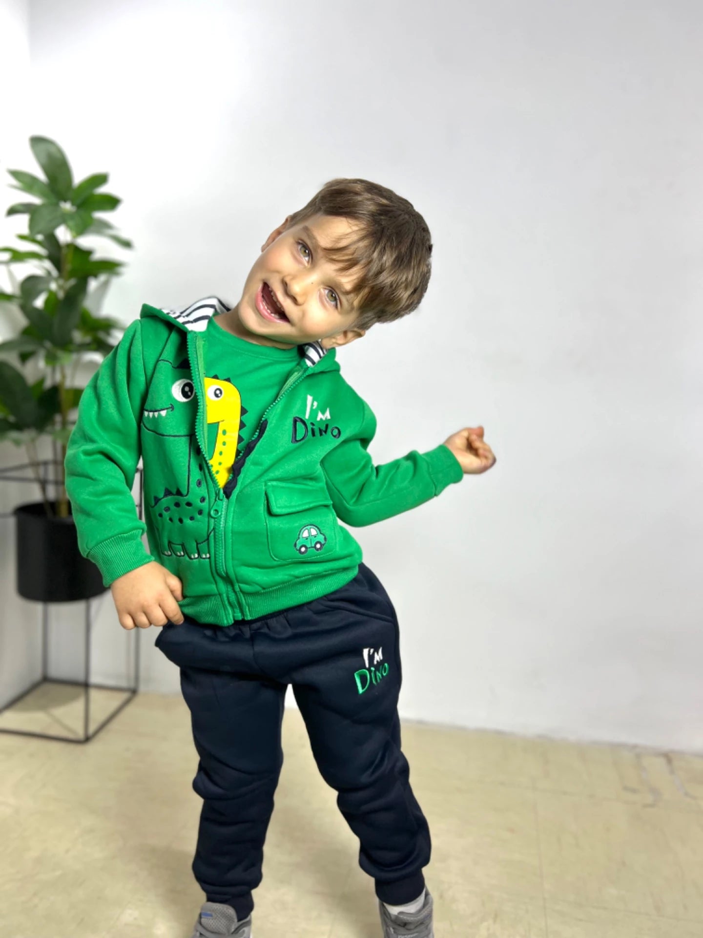 Dino Set