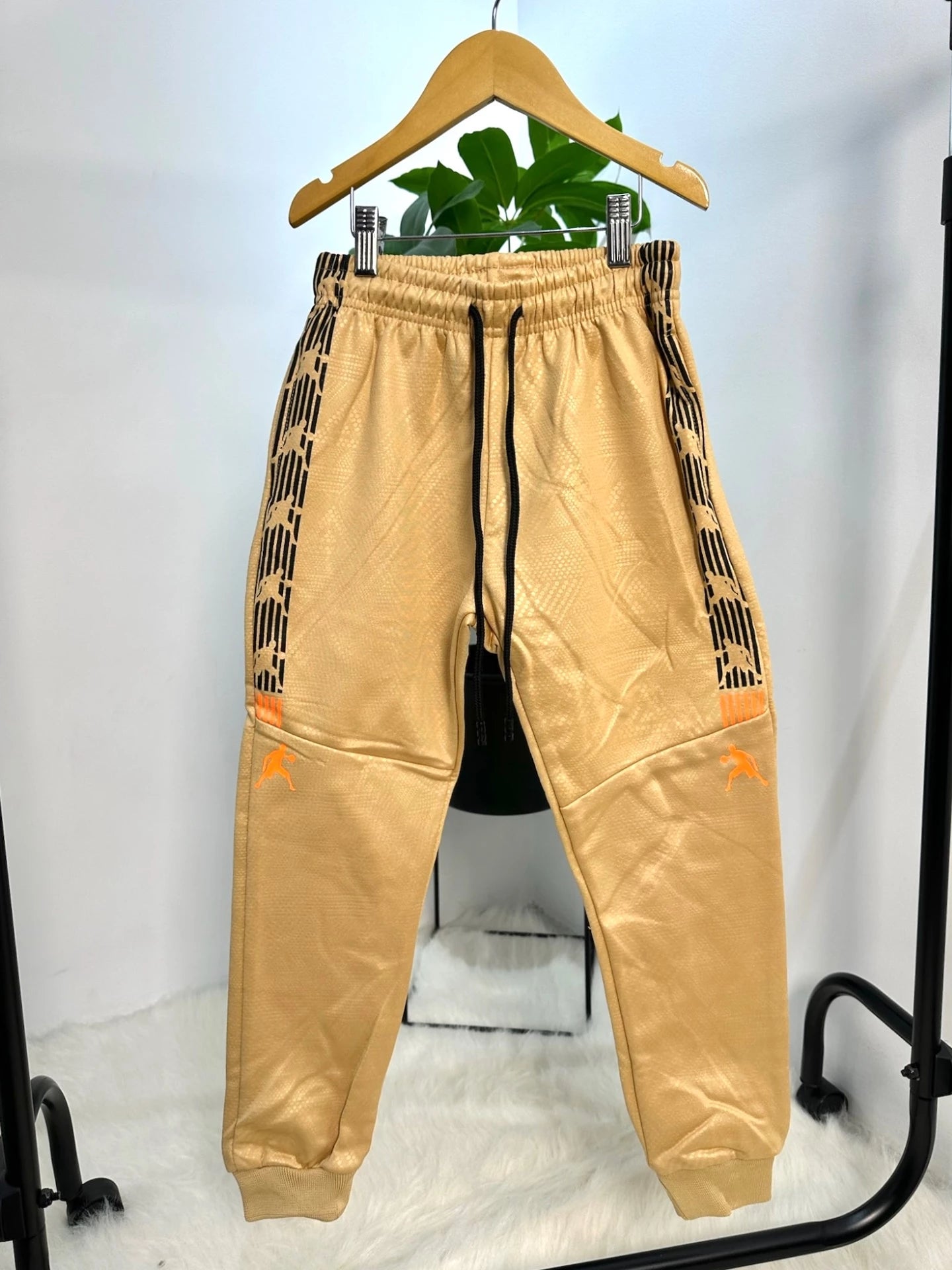 Jordan Set