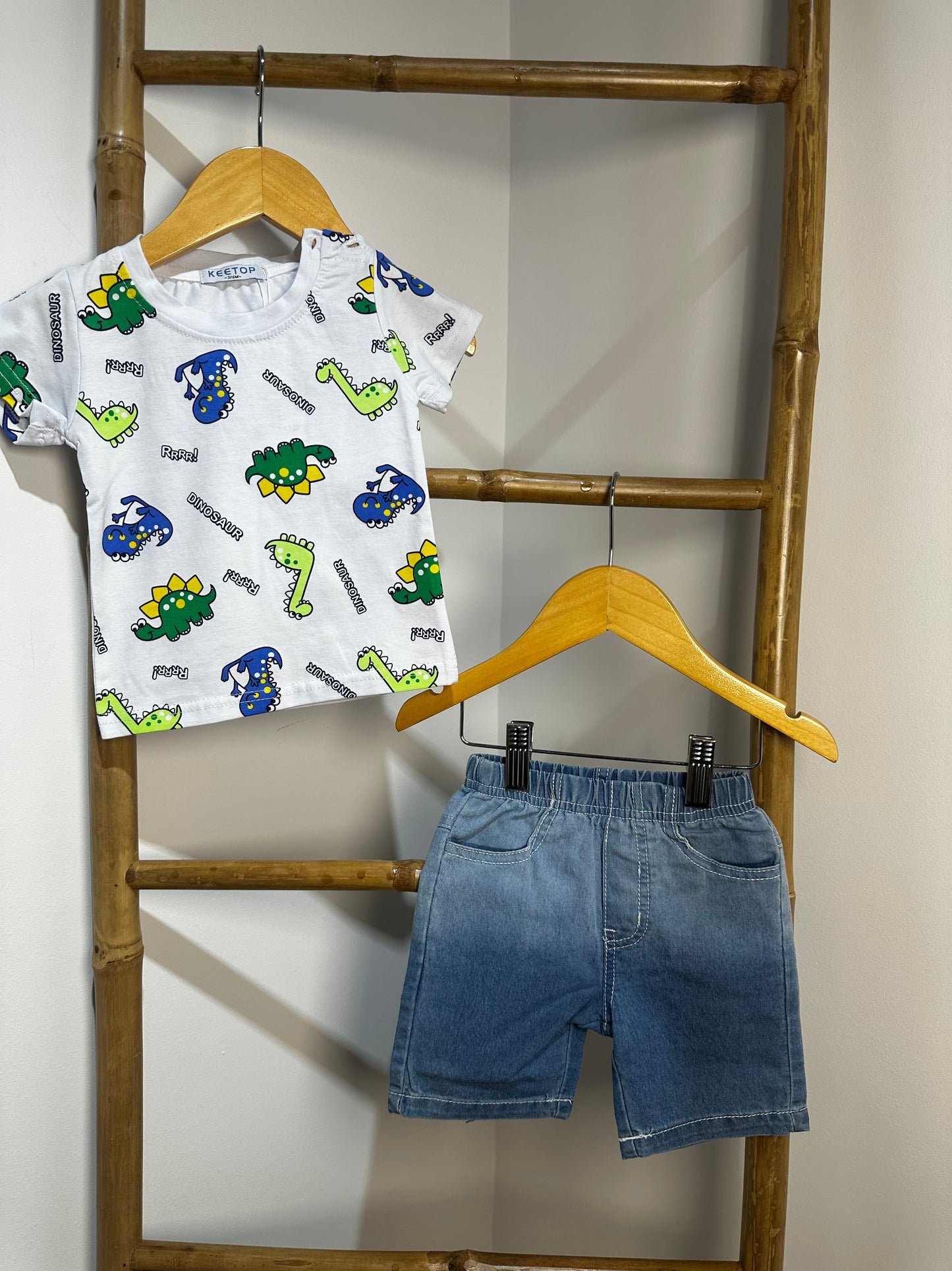 Dinosaur Set