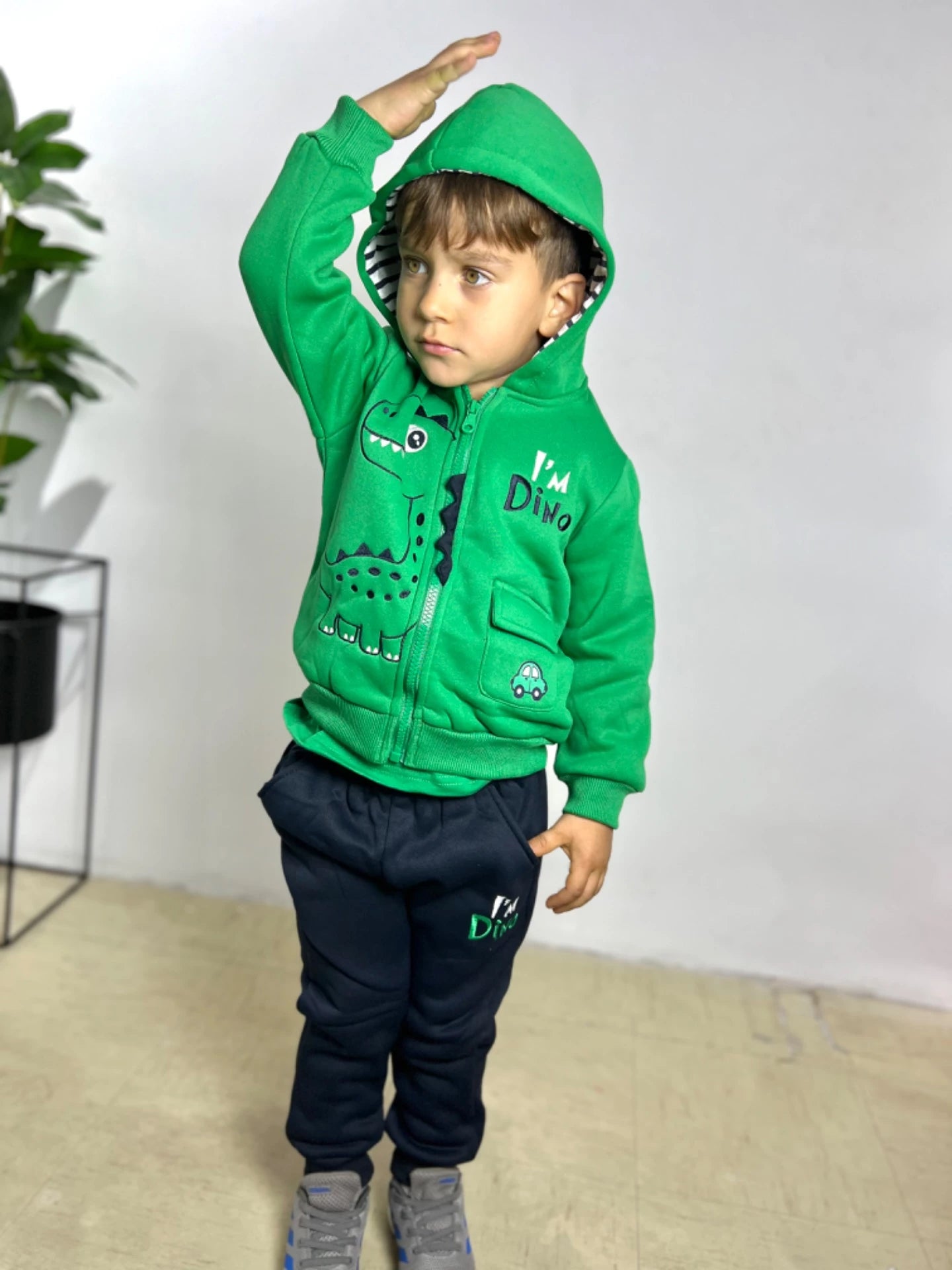 Dino Set