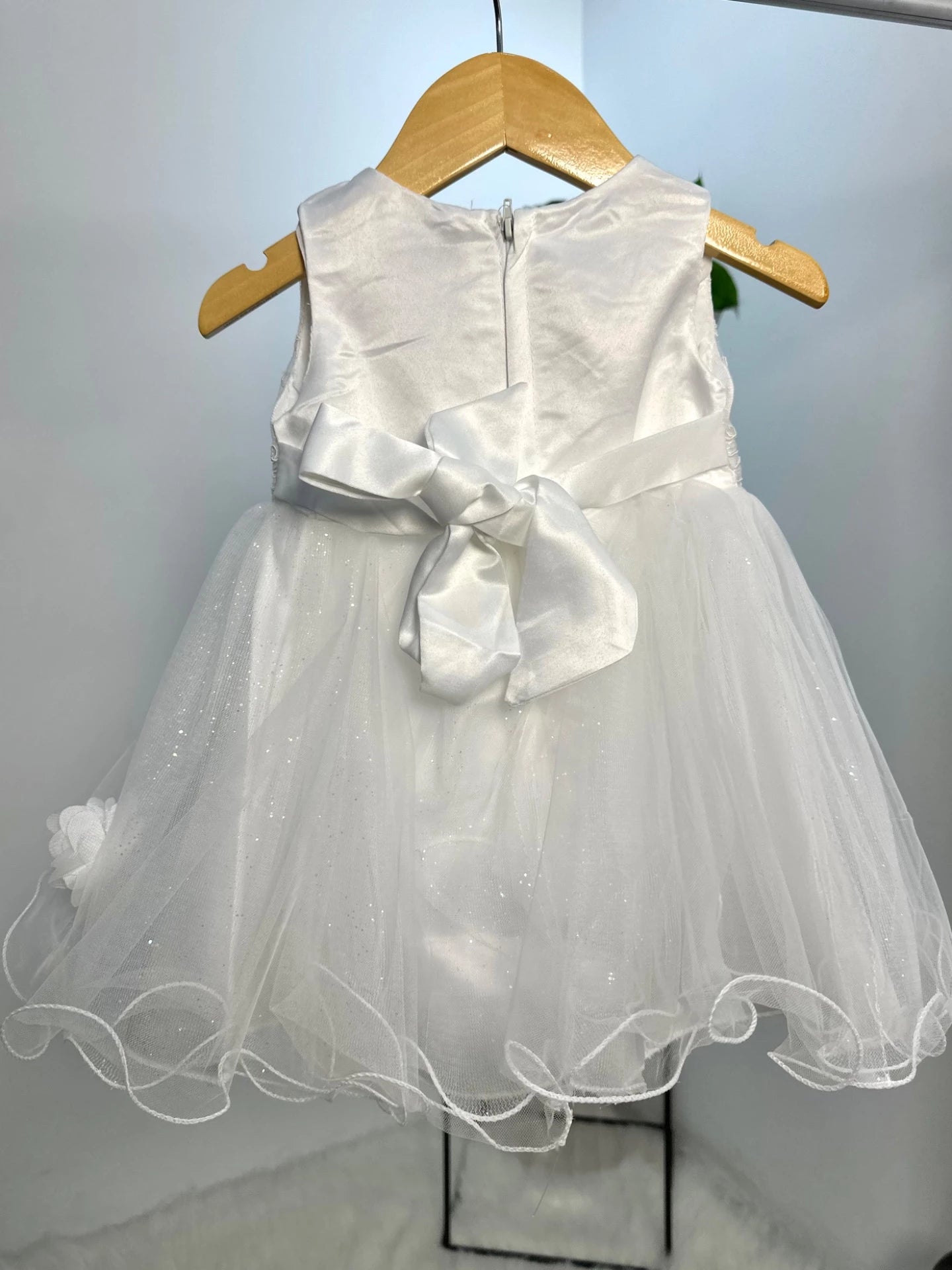 Sleeping Beauty Dress