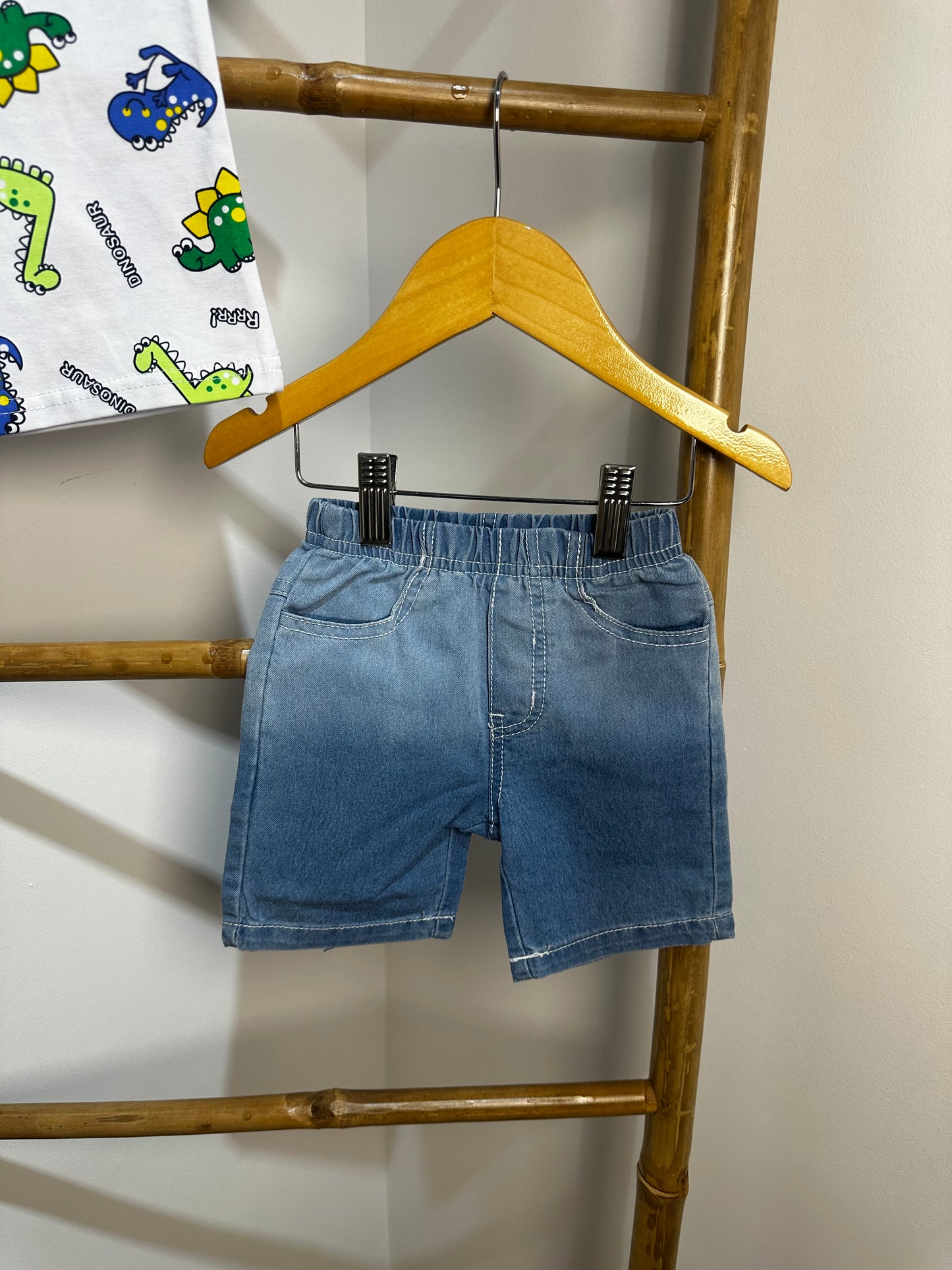 Dinosaur Set
