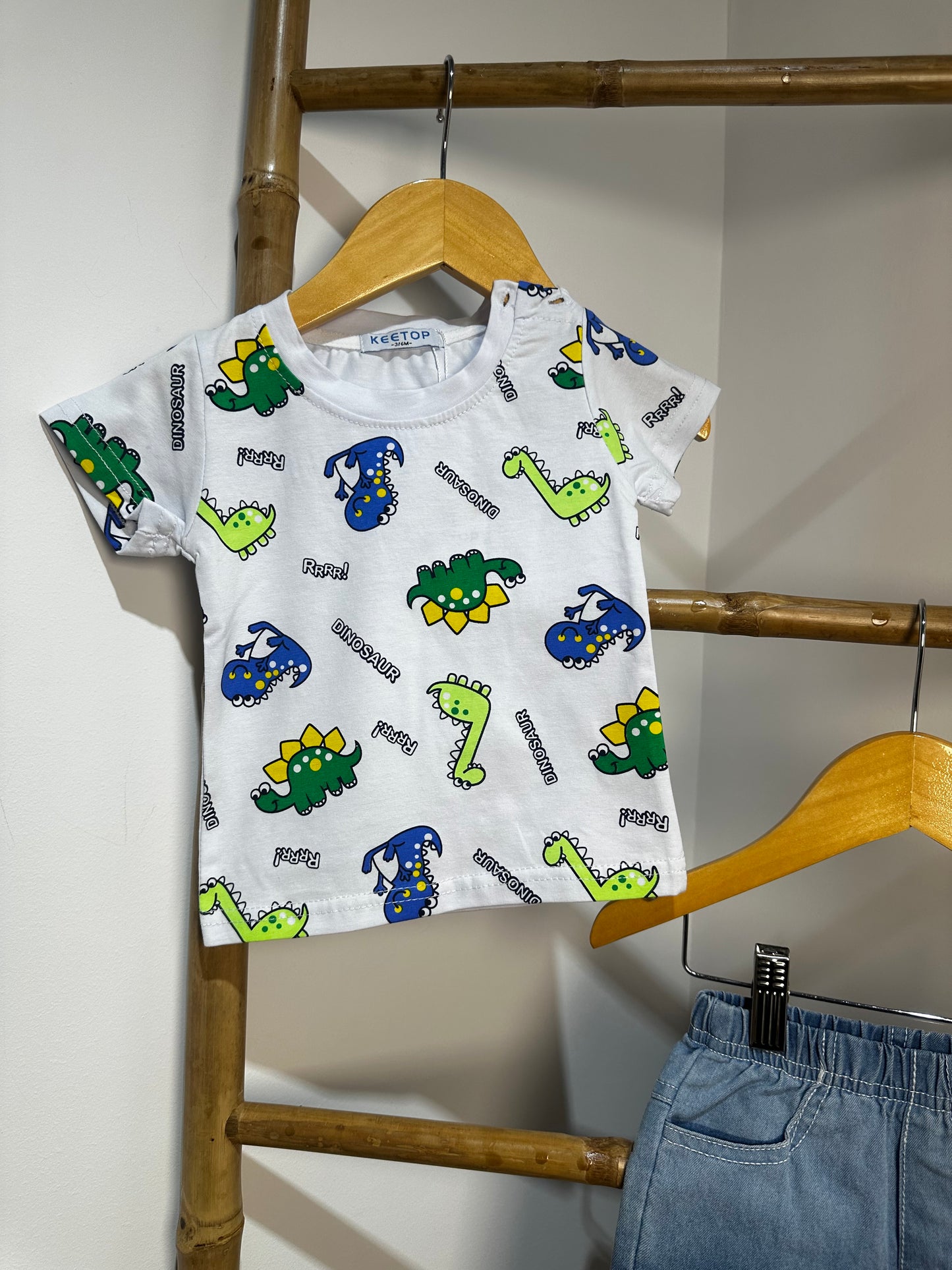 Dinosaur Set