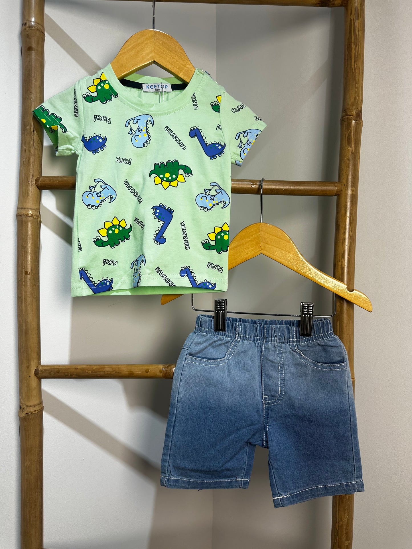 Dinosaur Set