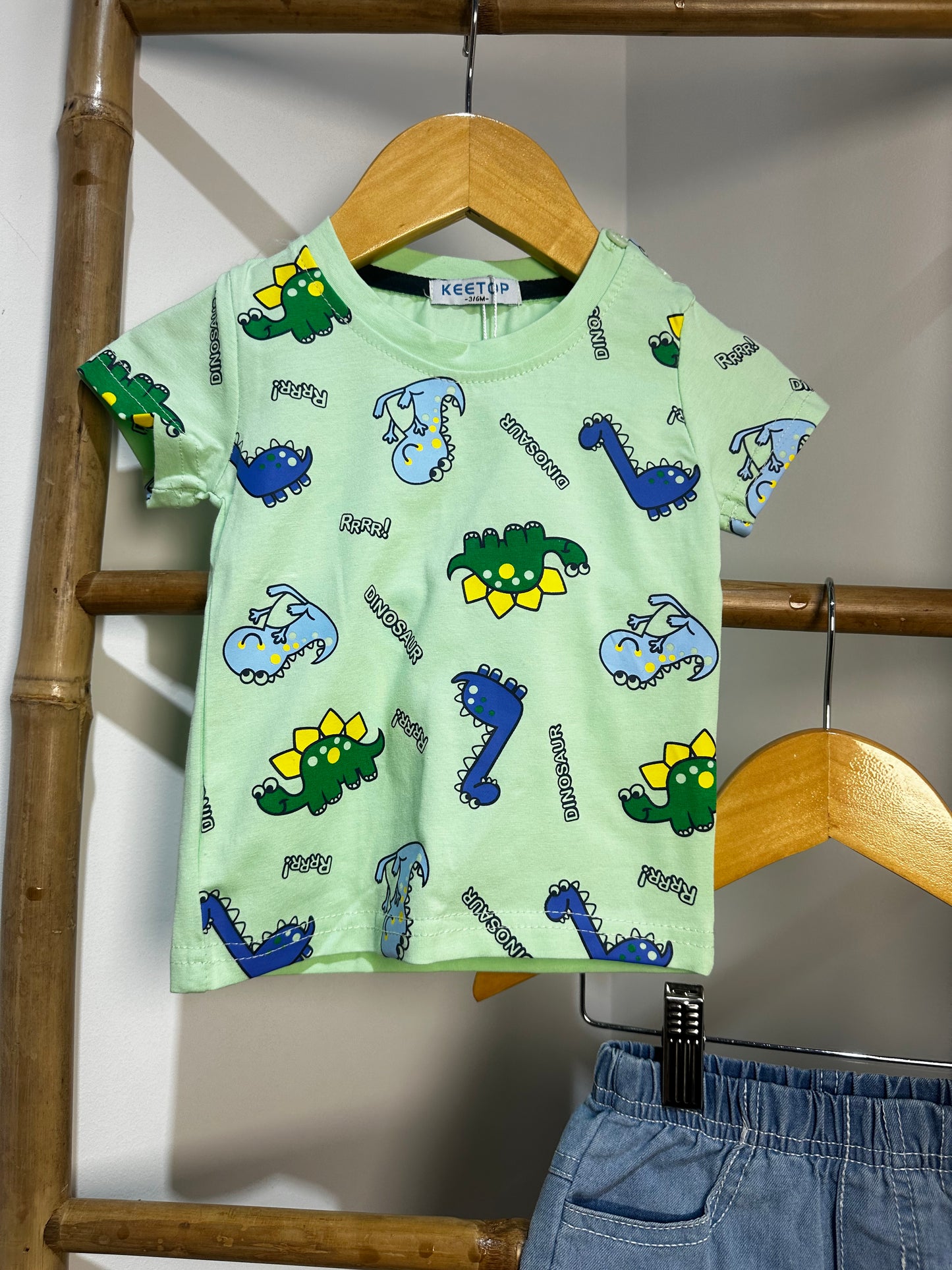 Dinosaur Set